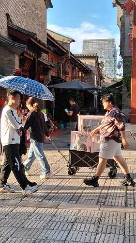 IMG-20251109-WA0004