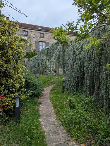 PXL_20260514_074925608_1