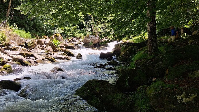 IMG-20250621-WA0016