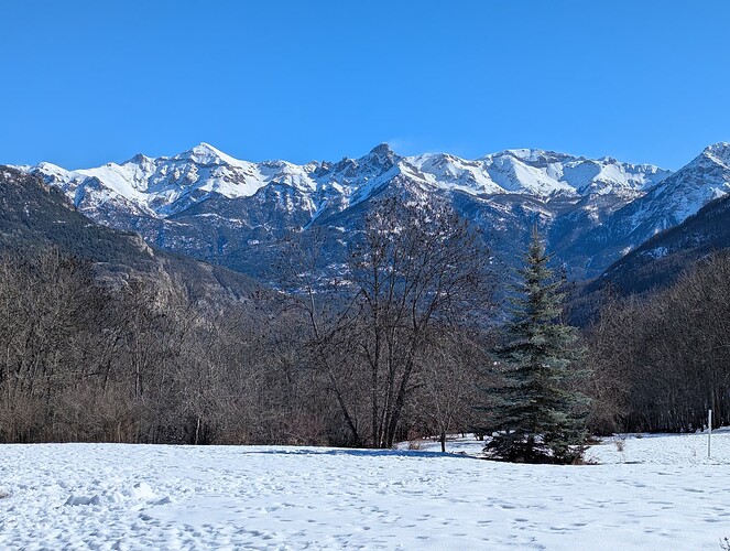 PXL_20250214_112007424_1