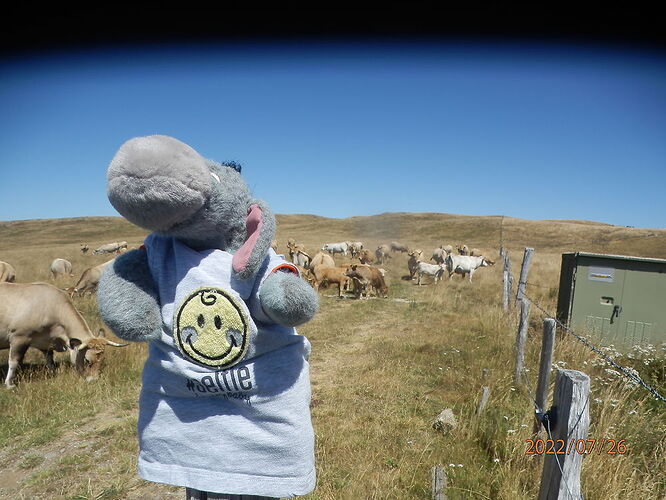 Partage d'un ptit séjour d'3 jours/4 nuits en Aveyron & Aubrac (fin Juillet 22) - chôkdâne