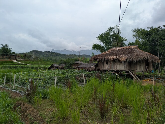 PXL_20250501_052610835