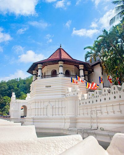 Copyrights2026-Un-Passeport-En-Cavale-Kandy_00 (3)