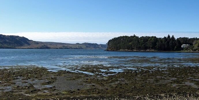 Ecosse (390)1