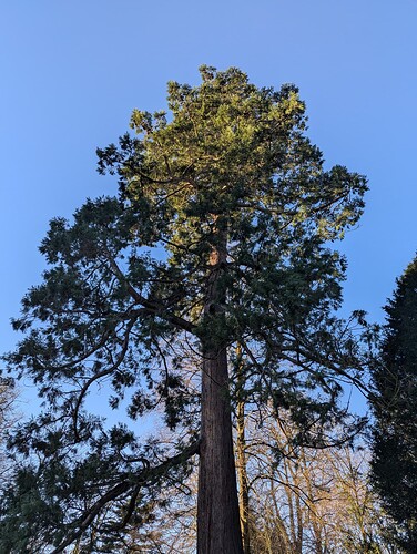 PXL_20251227_085035848_1