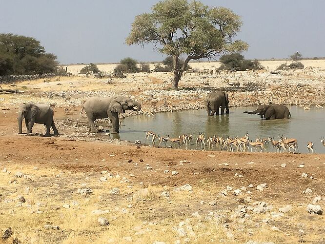 5000 km en Namibie (en passant par le Botswana et le Zimbabwe) - Berangere-D