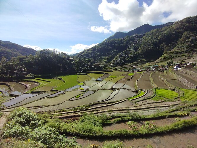 IMG_Batad_20250124_094550