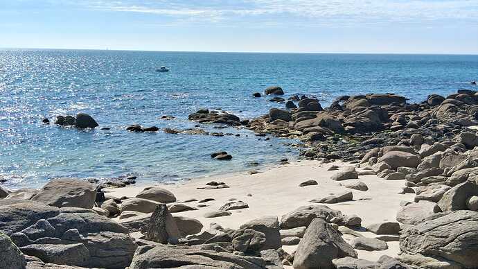 IMG-20250411-WA0008