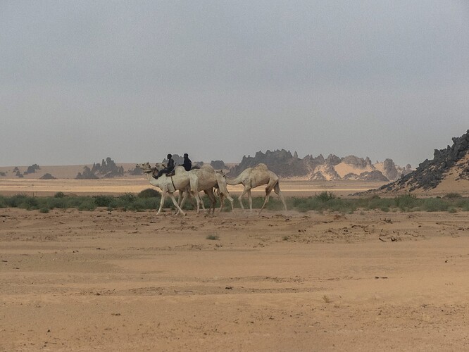Les paysages en revenant vers Djanet
