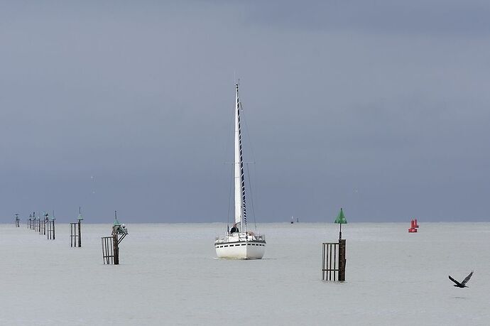 5 jours en Baie de Somme : un séjour très varié autour de Saint-Valéry - La-Corse-a-petits-pas