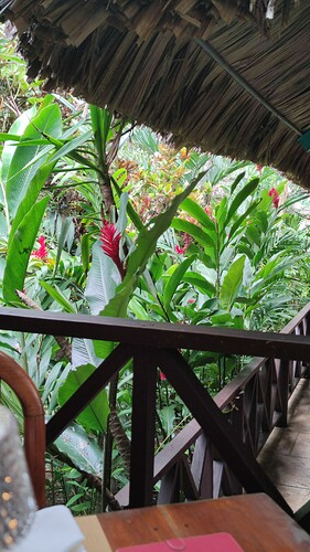 IMG_20260225_162035