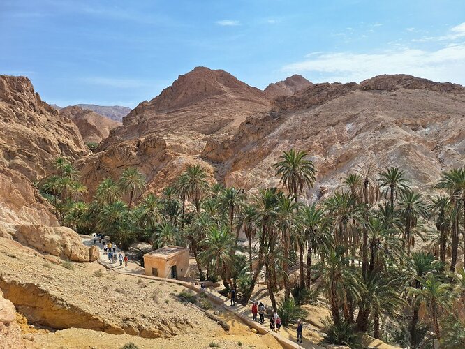 TUNISIE Oasis de Chebika (34)