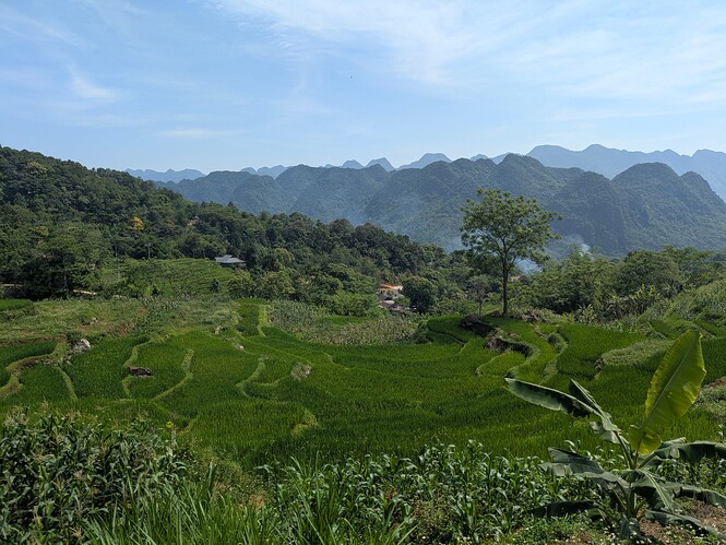 PXL_20250505_024628911