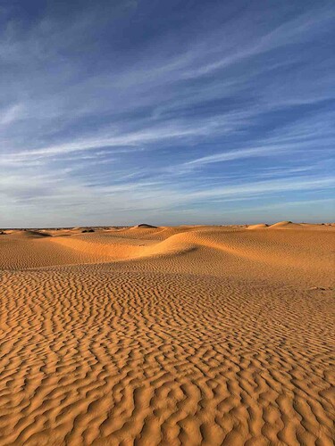 Sahara-tunisie