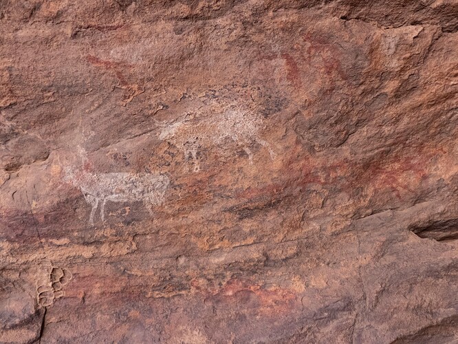 Peintures rupestres