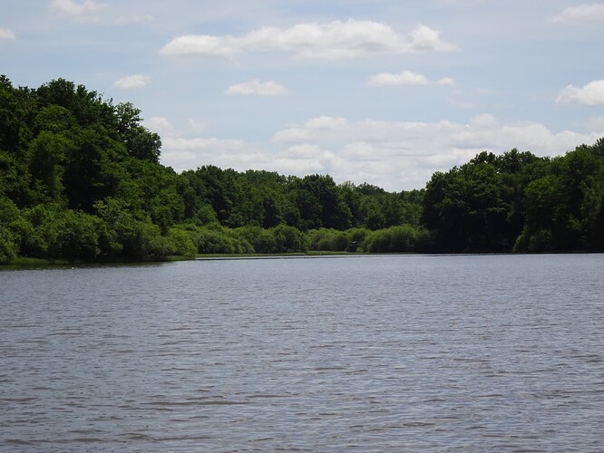 DSC03318_1