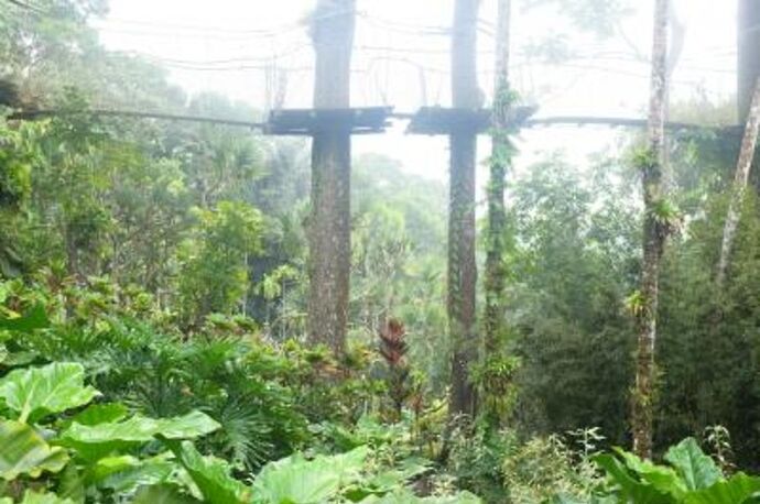 REtour de 10 jours en Martinique du 24 février au 4 mars 2020 - Gini78