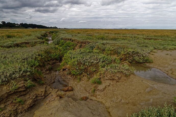 5 jours en Baie de Somme : un séjour très varié autour de Saint-Valéry - La-Corse-a-petits-pas