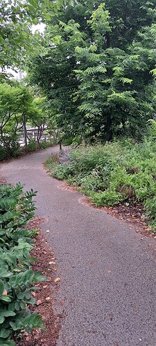 20250616_103444