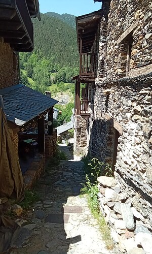 IMG_20250617_122635_129