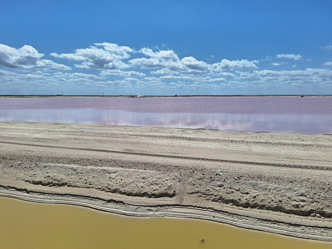 MEXIQUE Las Coloradas (11)