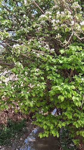 IMG-20260318-WA0012(1)