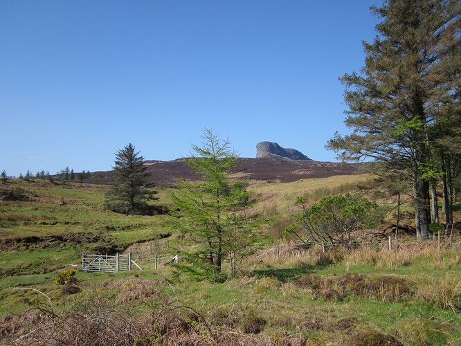 Ecosse 2013 365