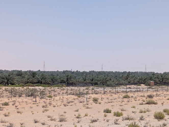 PXL_20250417_081946681_1