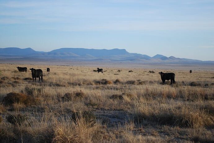 Un road-trip de 3 semaines à la découverte des états-unis du sud - Foxies-on-the-road