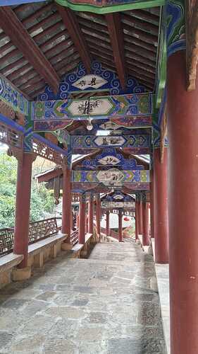IMG-20251113-WA0008
