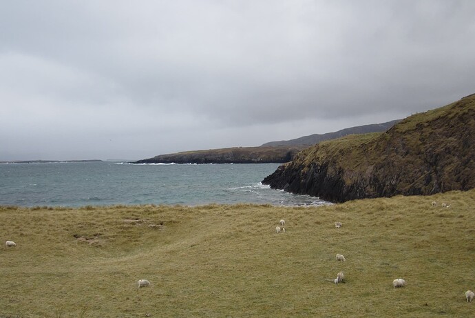 Ecosse 2013 255 - Copie