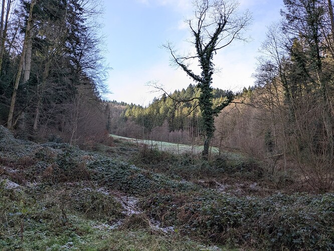PXL_20250101_103946982_1