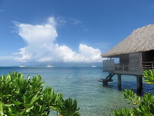 DE RETOUR D'UN MOIS EN POLYNESIE - tontonvin