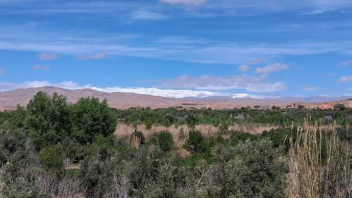 IMG-20260406-WA0006