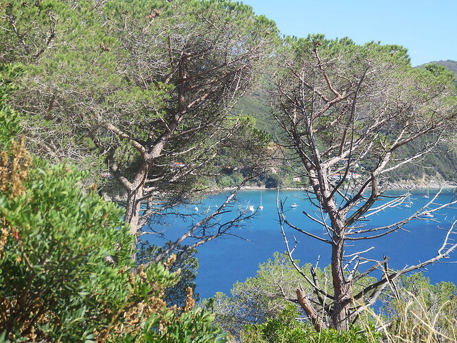 Une autre Toscane (Pise, île d'Elbe, région de Grosseto) - Karminhaka