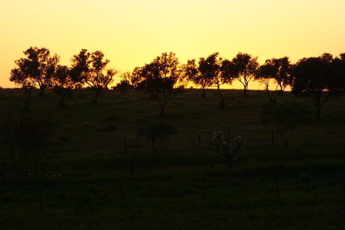 349 Alentejo