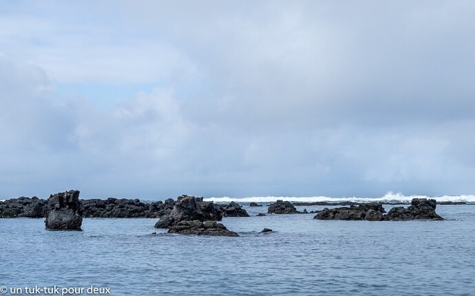 12 jours aux Îles Galápagos en autonomie, c'est vraiment merveilleux! - un-tuk-tuk-pour-deux