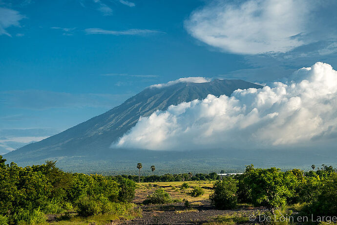 Bali - 3 semaines - Ubud - Pemuteran - Munduk - Amed - Gili Meno - Jimbaran - tfab