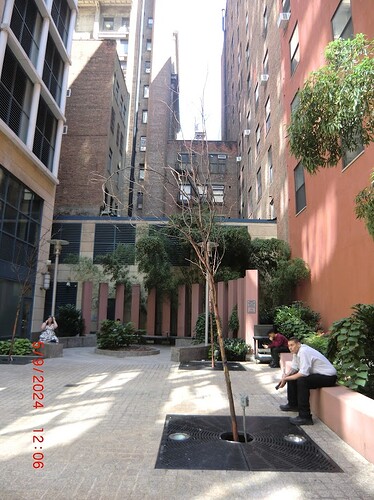 CIMG1183 425 fifth ave