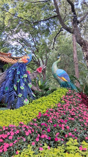IMG-20251106-WA0009