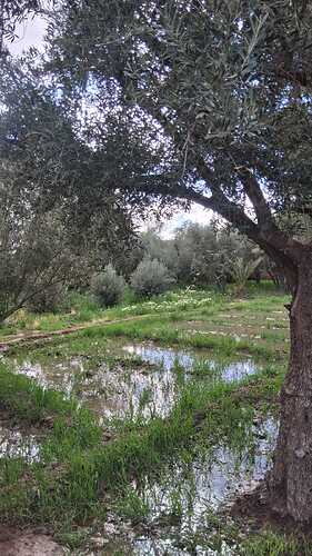 IMG-20260320-WA0038