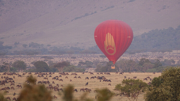 safari-tanzanie-montgolfière-IMG_6690