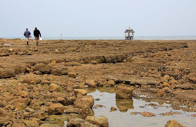 Le long de la côte de Charente-Maritime, de phares en phares … de La Rochelle à l'île de Ré jusqu'à l'île d'Aix (1ère partie) - jem