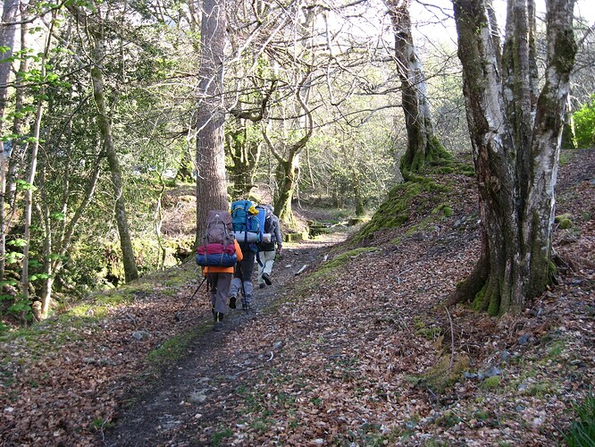 Ecosse (7)