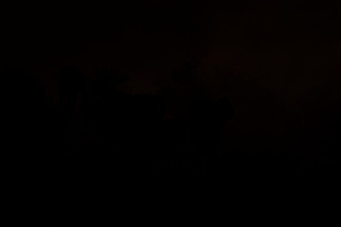 20240305-Q89A4049-CR2