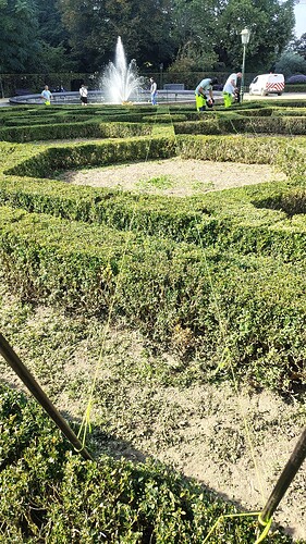IMG_20251001_131809762_HDR