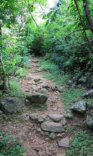 Paradis Sentier