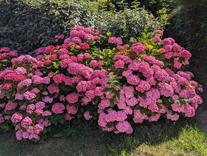 PXL_20260621_103113651