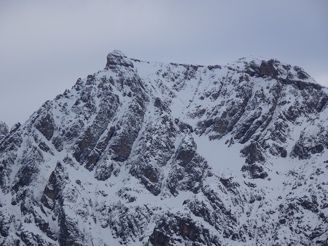 DSC02830_1