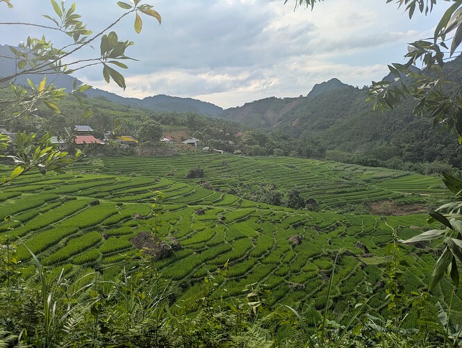 PXL_20250504_082145115